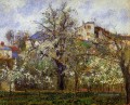 des Gemüsegarten mit Bäumen in Blüte Frühjahr pontoise 1877 Camille Pissarro